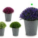 MACETA GRIS PTOS FLOR AZUL