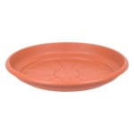 PLATO THEA 30 CM.