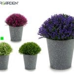 MACETA GRIS PTOS FLOR BLANCA