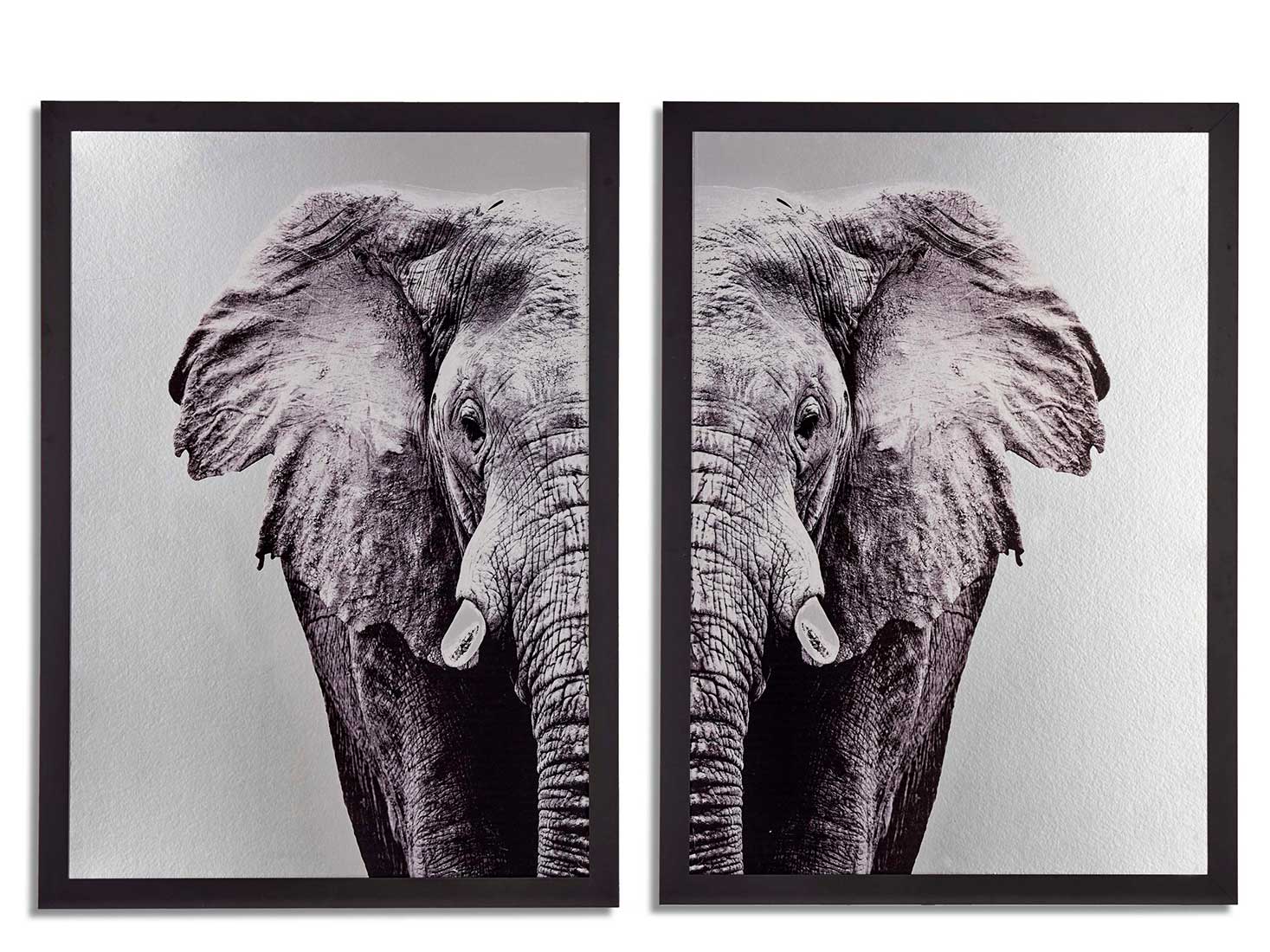 94972_AR-scaled2 CUADRO ELEFANTE 2 P. 77x1,5x107 - Imagen 1