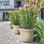 VASO R.M. 14 CM CILINDRO - Imagen 3