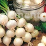 CEBOLLA BARLETTA CLASICO