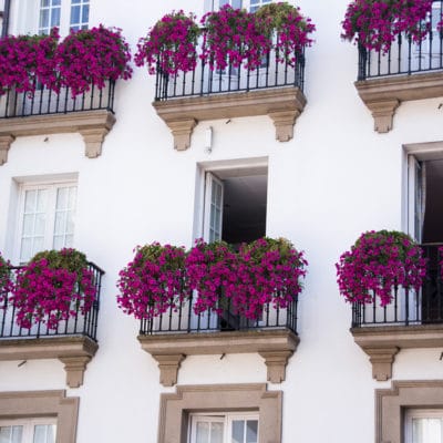 20210416_tiempo_primavera_flores_balcones_terrazas_1
