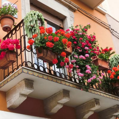 20210416_tiempo_primavera_flores_balcones_terrazas_5