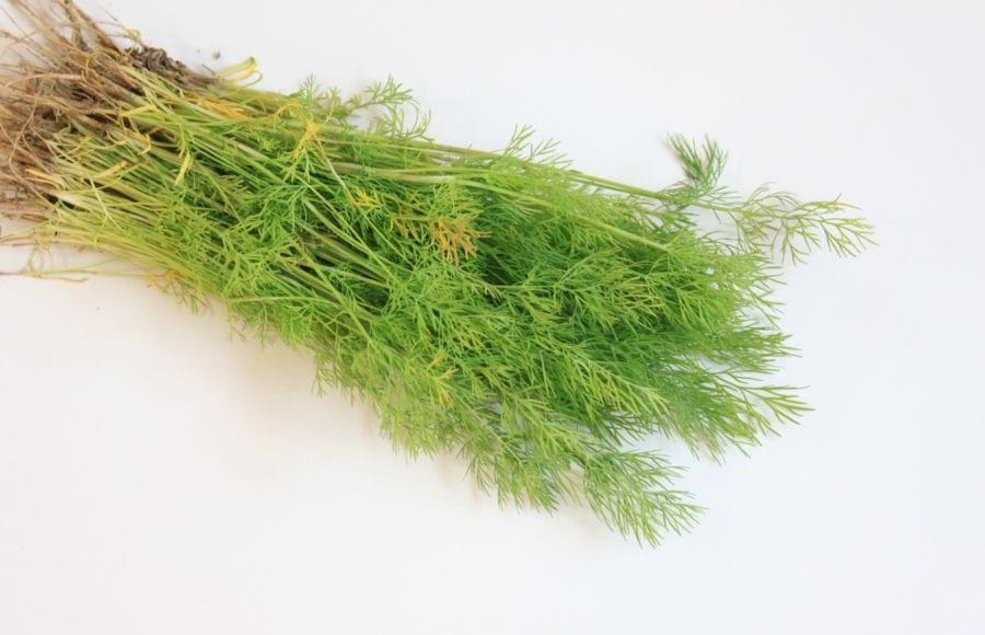 20210528_deliciosas-fragancias-hogar-cultivando-plantas-aromaticas_05