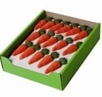 ZANAHORIAS ROEDORES 1 UND.
