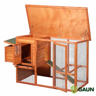 CASETA AVES LYON