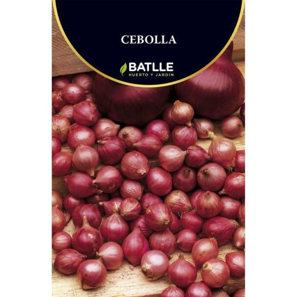 CEBOLLA ROJA