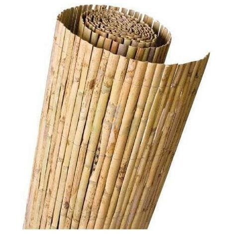 Cañizo