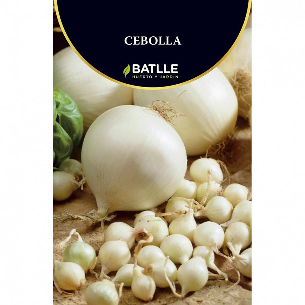 CEBOLLA BLANCA BATLLE