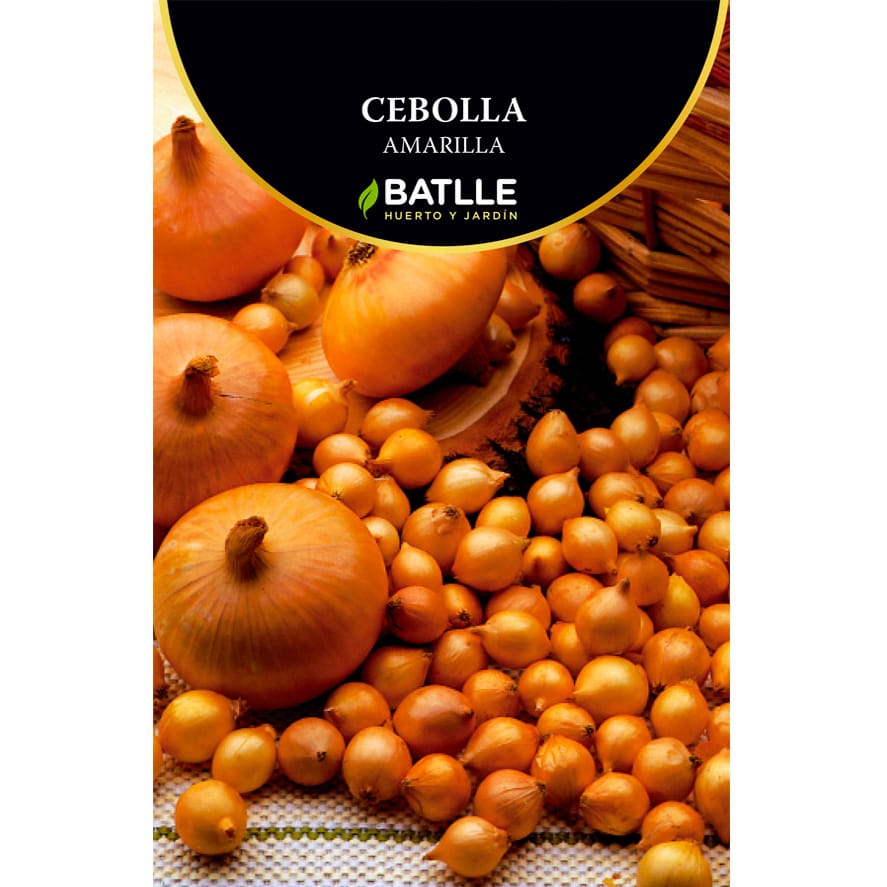 CEBOLLA STUTTGARTER