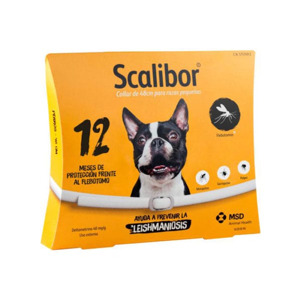 SCALIBOR 48 CM. (12 MESES)