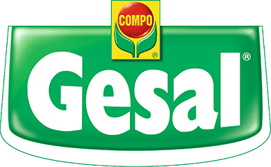 GESAL