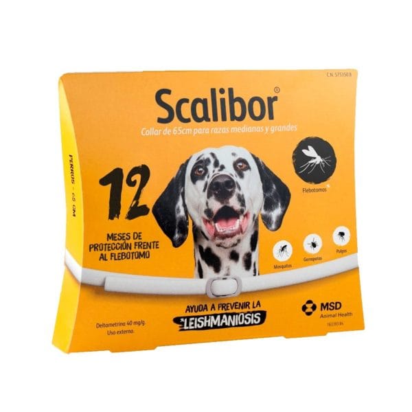 SCALIBOR 65 CMS. (12 MESES)
