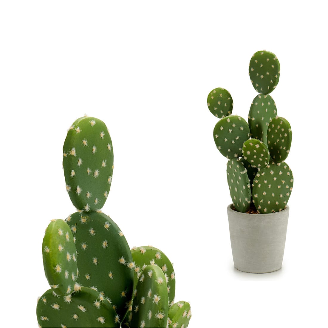 CACTUS-CHUMBERA-40-CM CACTUS CHUMBERA 40 CM