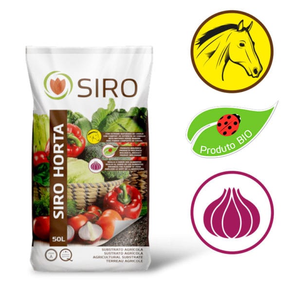SIRO HORTA