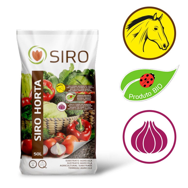 SIRO HORTA
