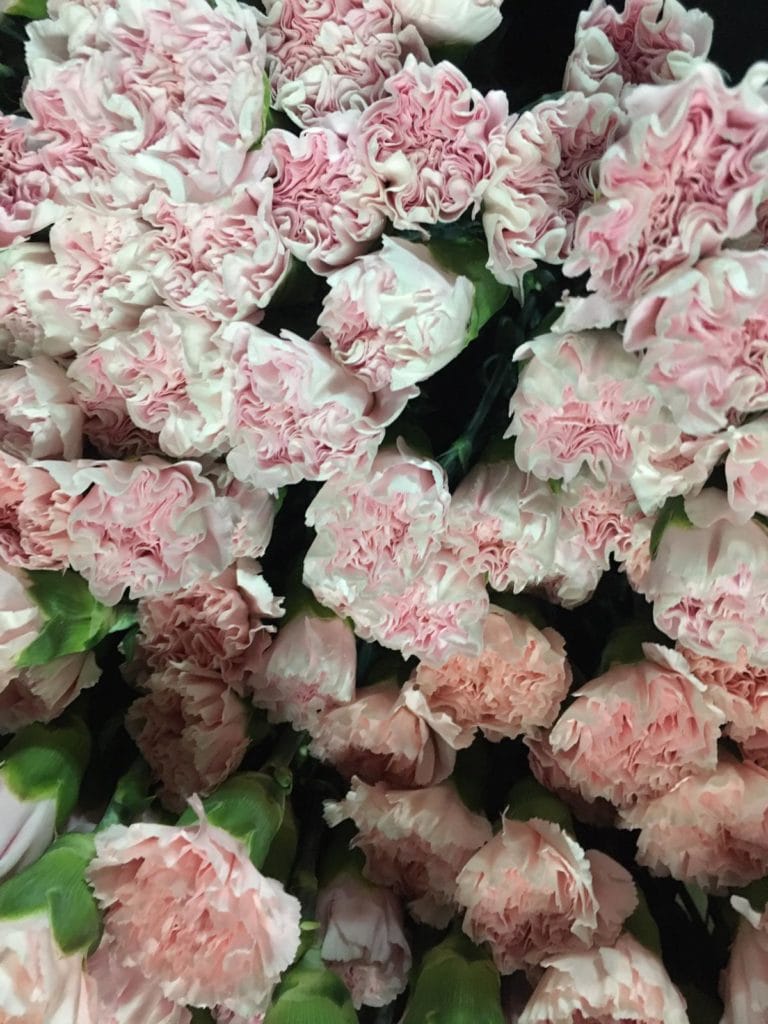 Flores en el día de Todos Los Santos