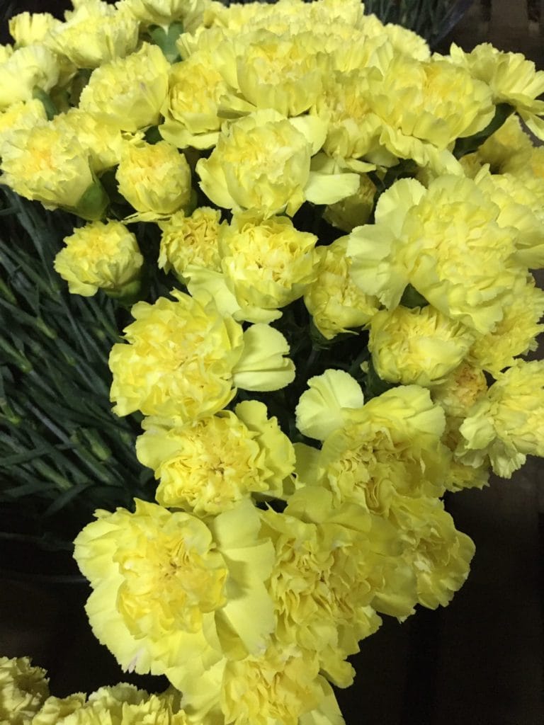 Flores en el día de Todos Los Santos