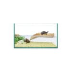 TORTUGUERA ISLA 40 L.