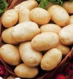 PATATA FRISIA 35/55 25 KG. - Imagen 2