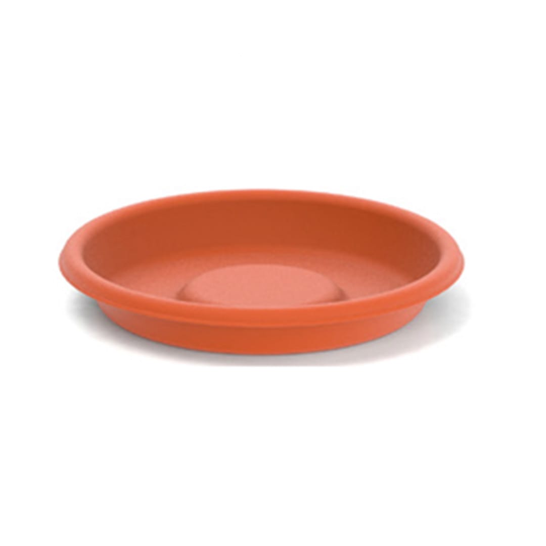 florencia-191 PLATO FLORE. M. 254 MM. - Imagen 1