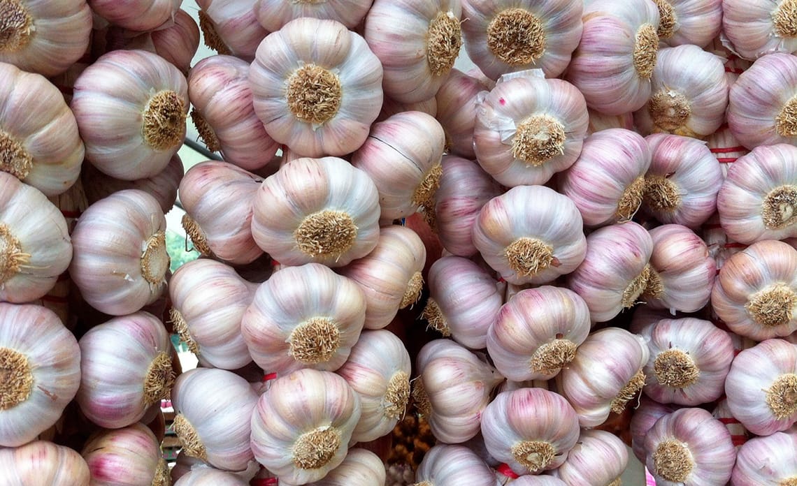 Plantar los ajos en noviembre
