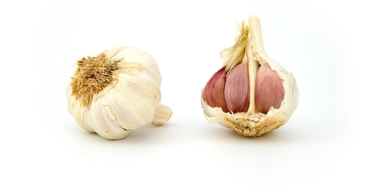 Plantar los ajos en noviembre