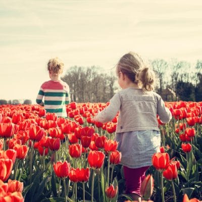 Consejos para plantar bulbos de otoño
