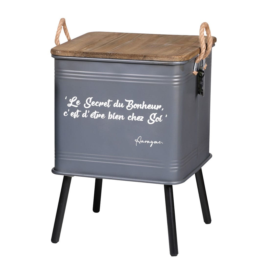 CAJA METAL PIE GRIS 41X41X59,5 CAJA METAL PIE GRIS 41X41X59,5 - Imagen 1