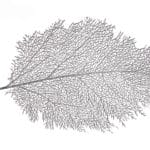 SALVAMANTEL HOJA CORAL PLATA