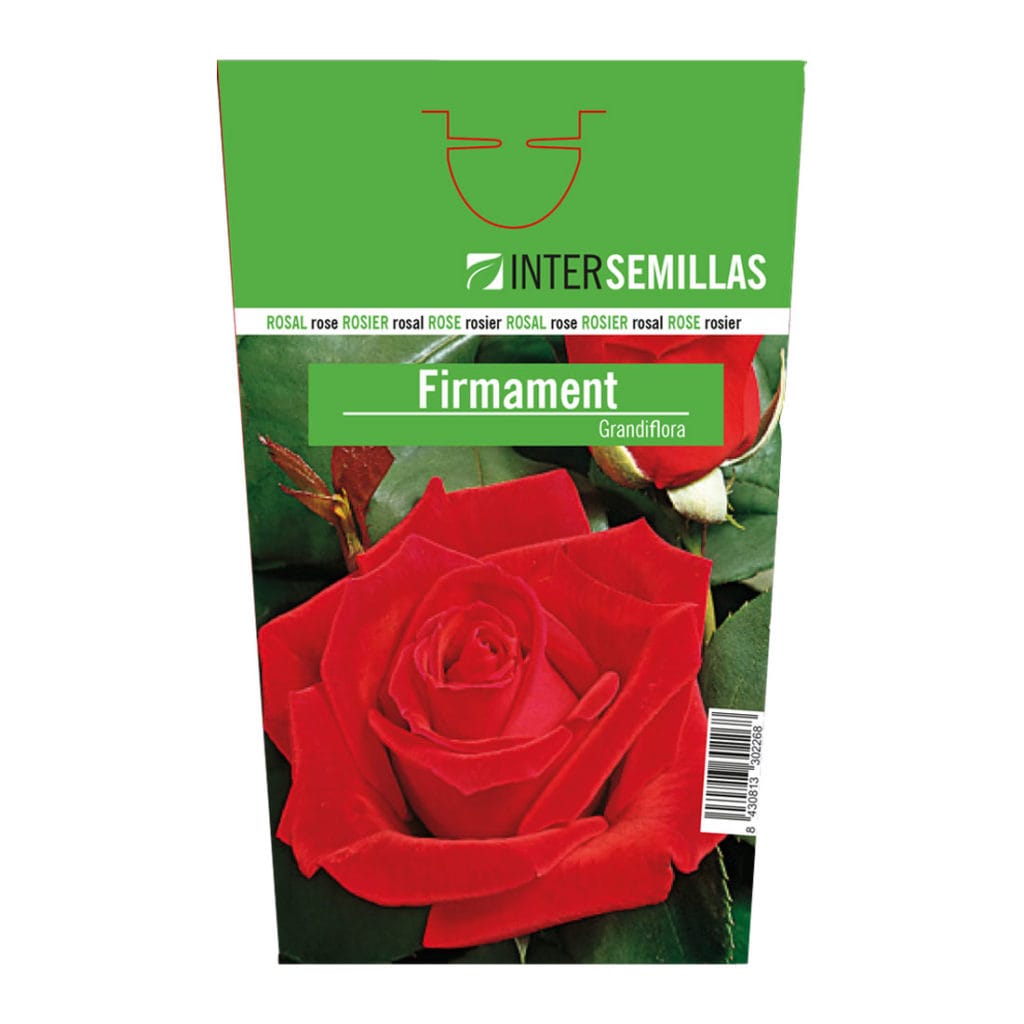 ROSAL FIRMAMENT