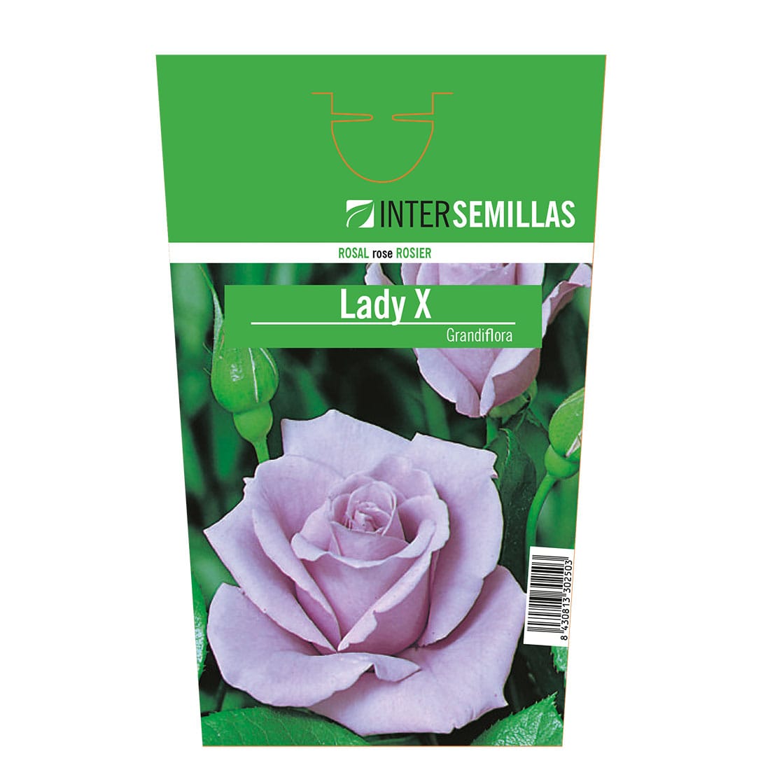 ROSAL LADY-X ROSAL LADY X - Imagen 1