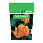 ROSAL ADOLF HORTMANN OLOROSO