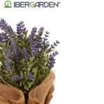 LAVANDA SACO 17X25 CM - Imagen 3