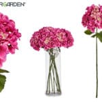 RAMA HORTENSIA MORADA 21X15X70