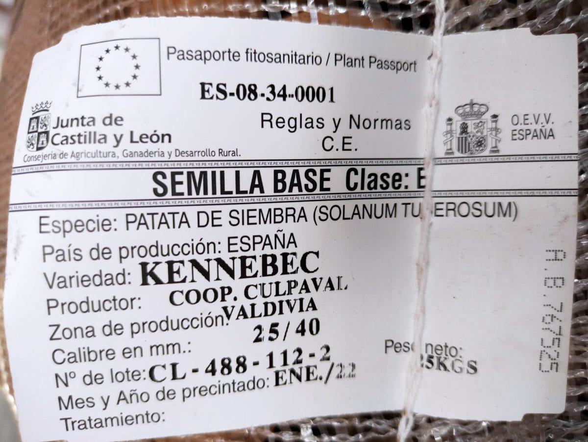 PATATA KENNEBEC 25/40 25 KG. - Imagen 2