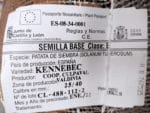 PATATA KENNEBEC 25/40 25 KG. - Imagen 2