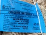 PATATA KENNEBEC 35/55 10 KG. - Imagen 2