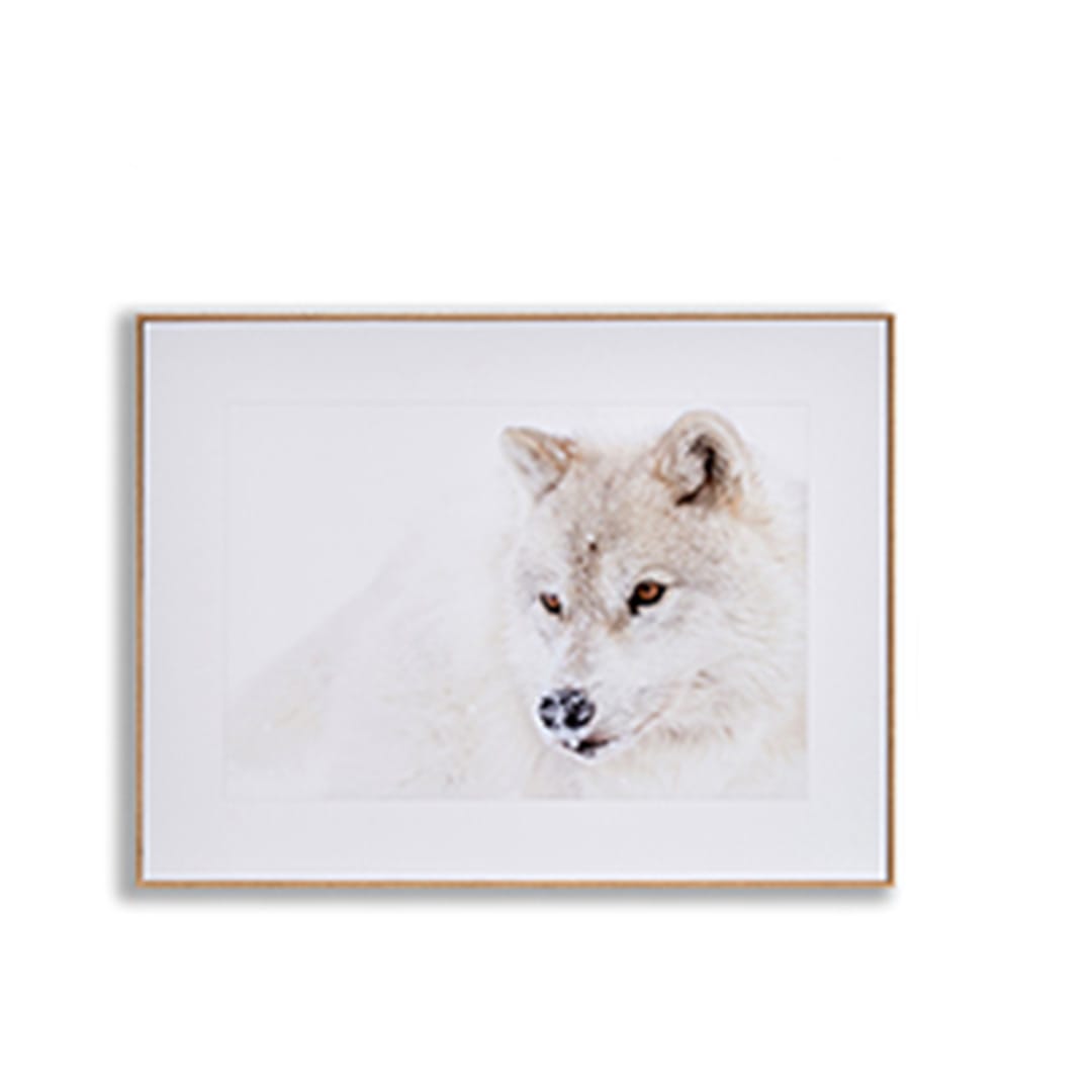 lobo LIENZO MADERA LOBO 81,5x61,5x3 - Imagen 1