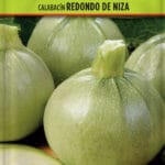 CALABACIN REDONDO NIZA