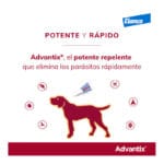 ADVANTIX 10/25 KG 1 UNIDAD - Imagen 7
