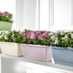 JARD. 40X20 ROSA PASTELLO - Imagen 2