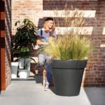VASO EASY 65 CM. PRUGNA - Imagen 2