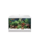 KIT AQUALED BLANCO 45 CMS