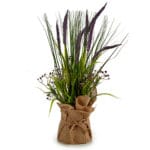 PLANTA MORADA JUNCO SACO GRANDE