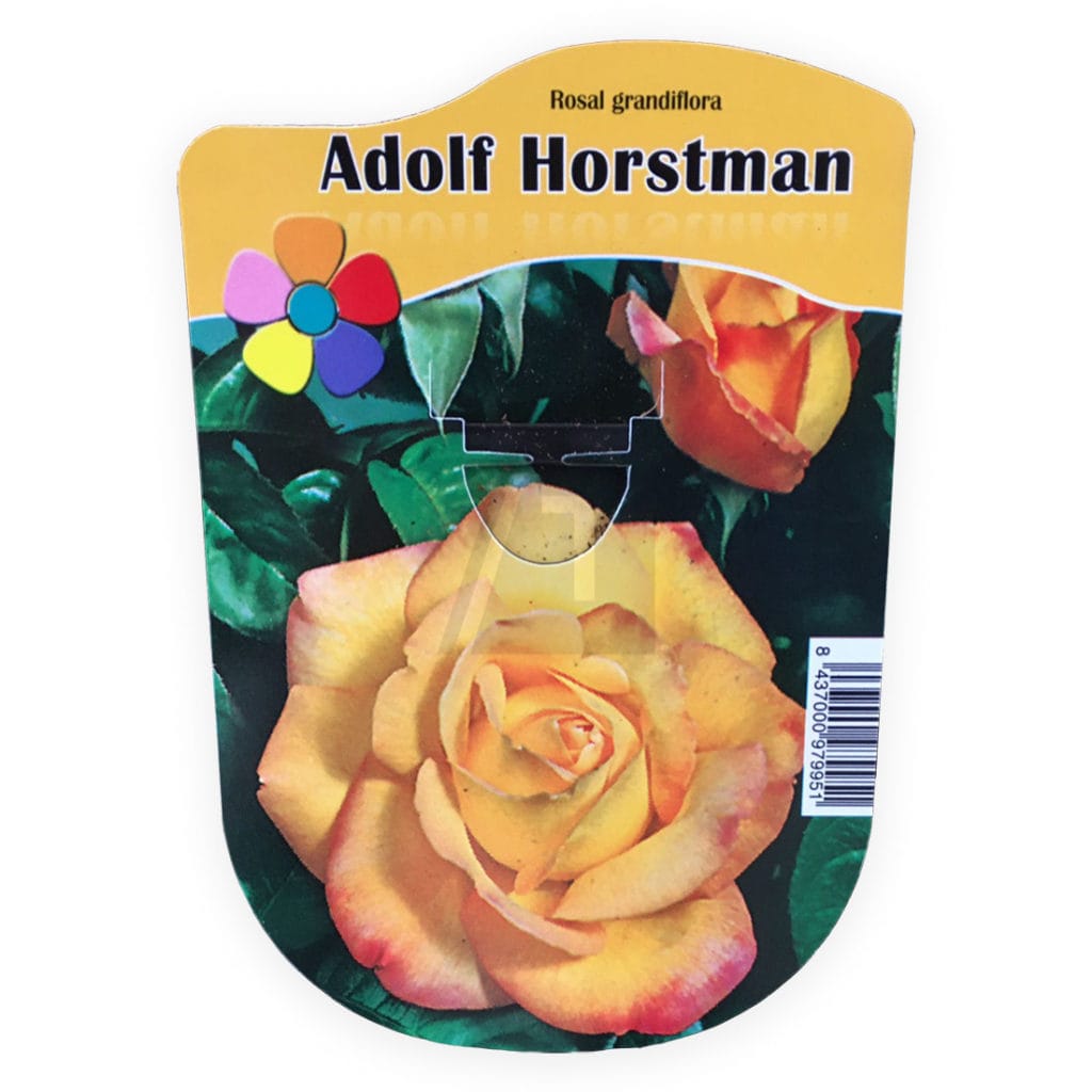 ROSAL ADOLF HORSTMAN