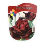 ROSAL PERLA NEGRA