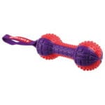 GIGWI HUESO PUSH 19 CM - Imagen 2