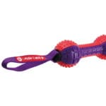 GIGWI HUESO PUSH 19 CM - Imagen 3